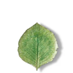 Assiette en grés "Hortensia" - Vert d'eau