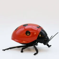 Coccinelle en céramique "Joaninha, voa, voa"