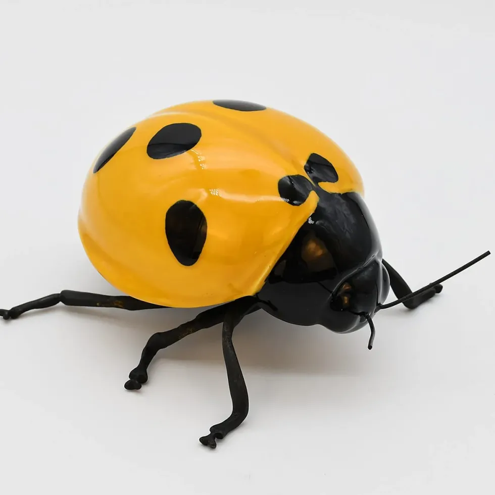 Coccinelle en céramique "Joaninha, voa, voa"