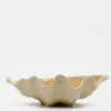 Coquillage en céramique 30cm - Beige