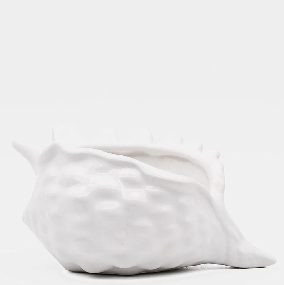 Coquillage en céramique 15cm - Blanc
