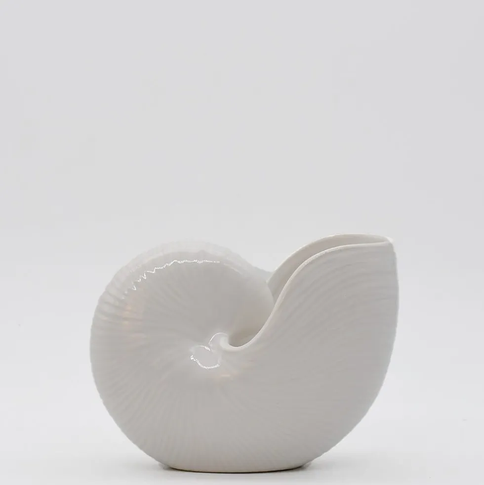 Coquillage en céramique 17cm - Blanc