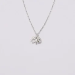 Ensemble de 5 charms Porte-Bonheur en argent