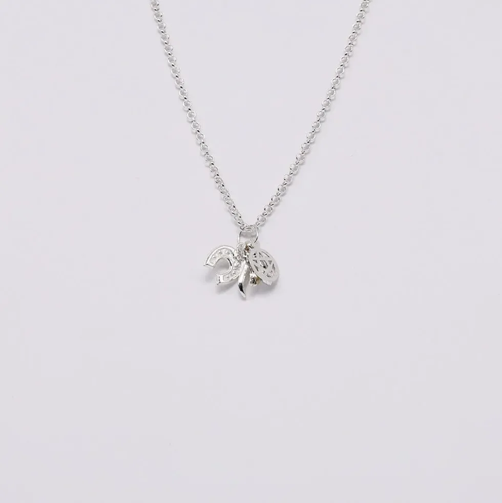 Ensemble de 5 charms Porte-Bonheur en argent