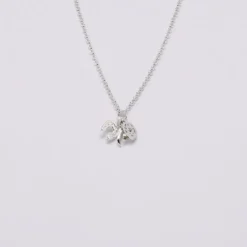 Ensemble de 5 charms Porte-Bonheur en argent