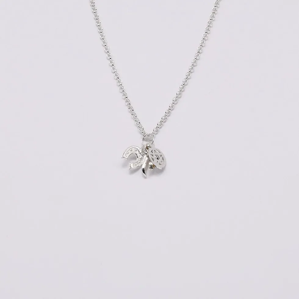 Ensemble de 5 charms Porte-Bonheur en argent