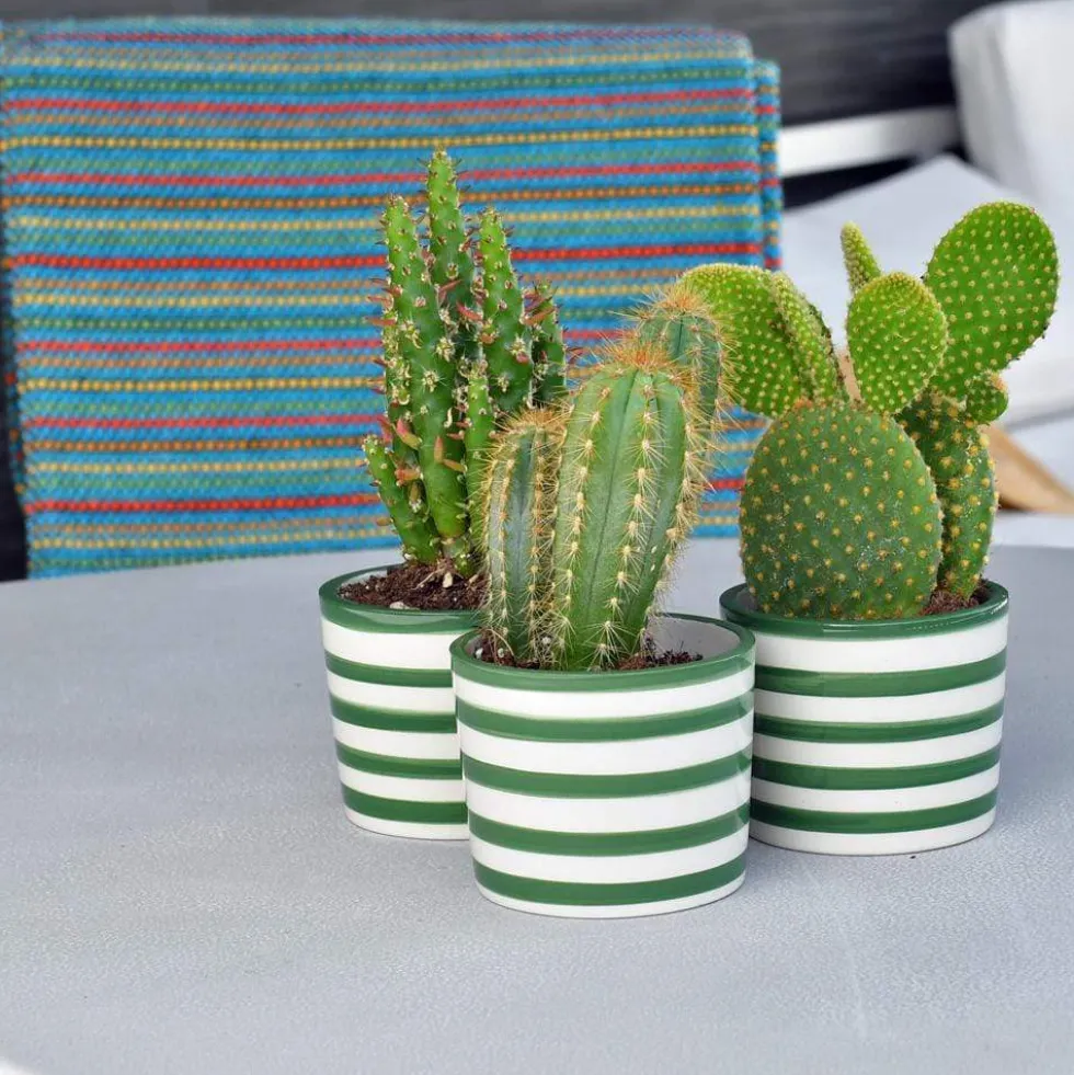 Ensemble de 3 pots "Costa nova" - Vert