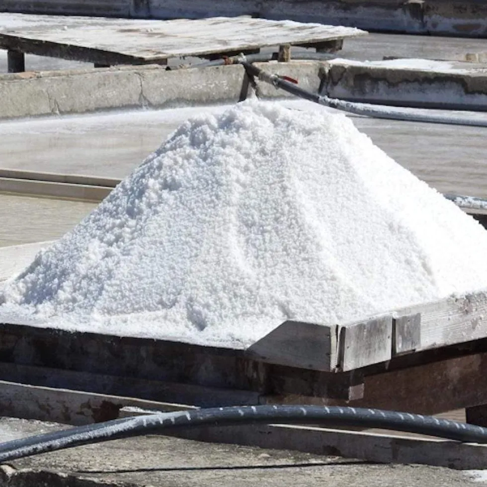 Fleur de sel à la coriandre