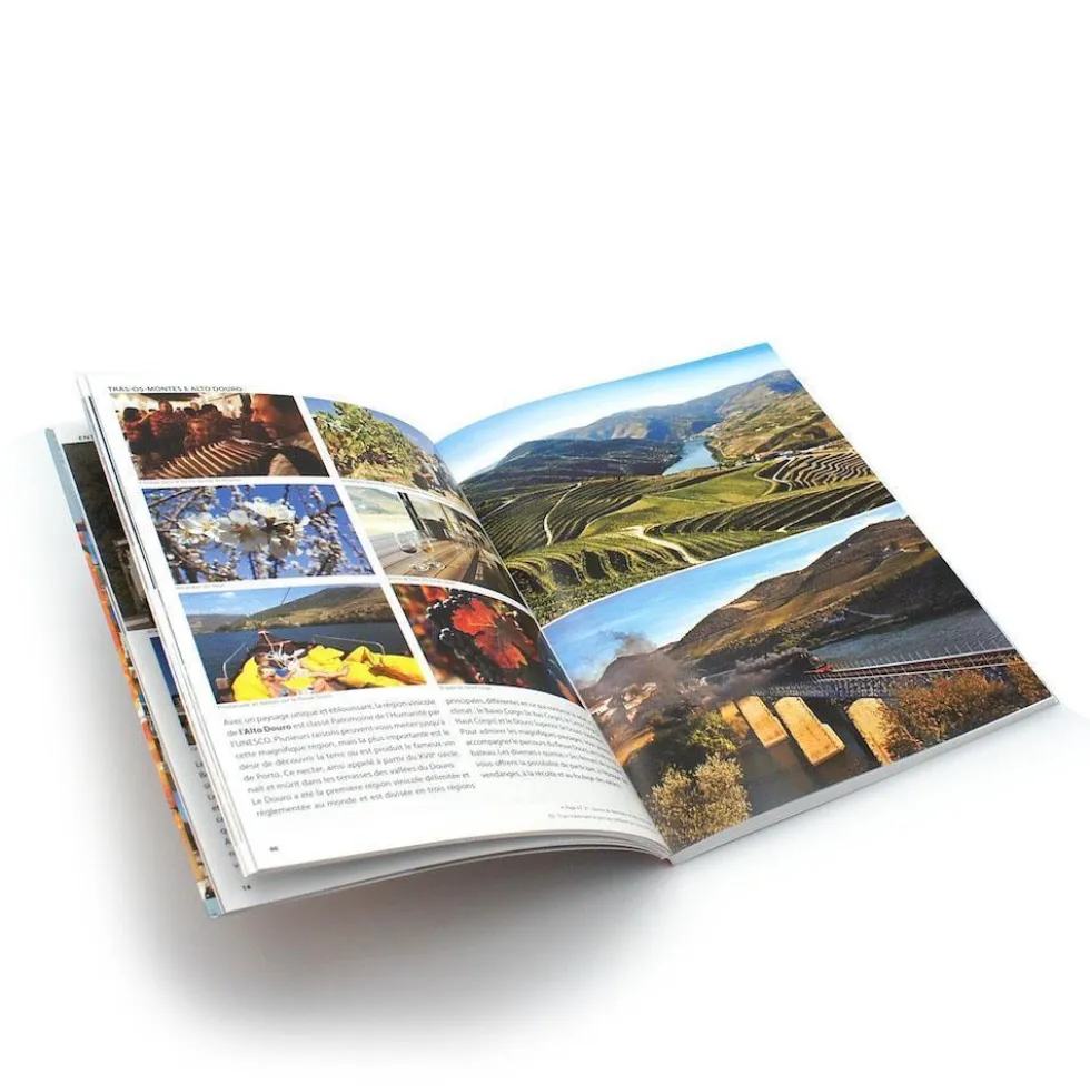 Livre "Portugal : Voyages et histoires"