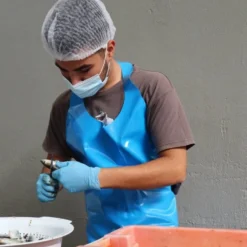 Papa Anzóis I Conserve de sardines à l'huile d'olive vierge et au piment Malagueta