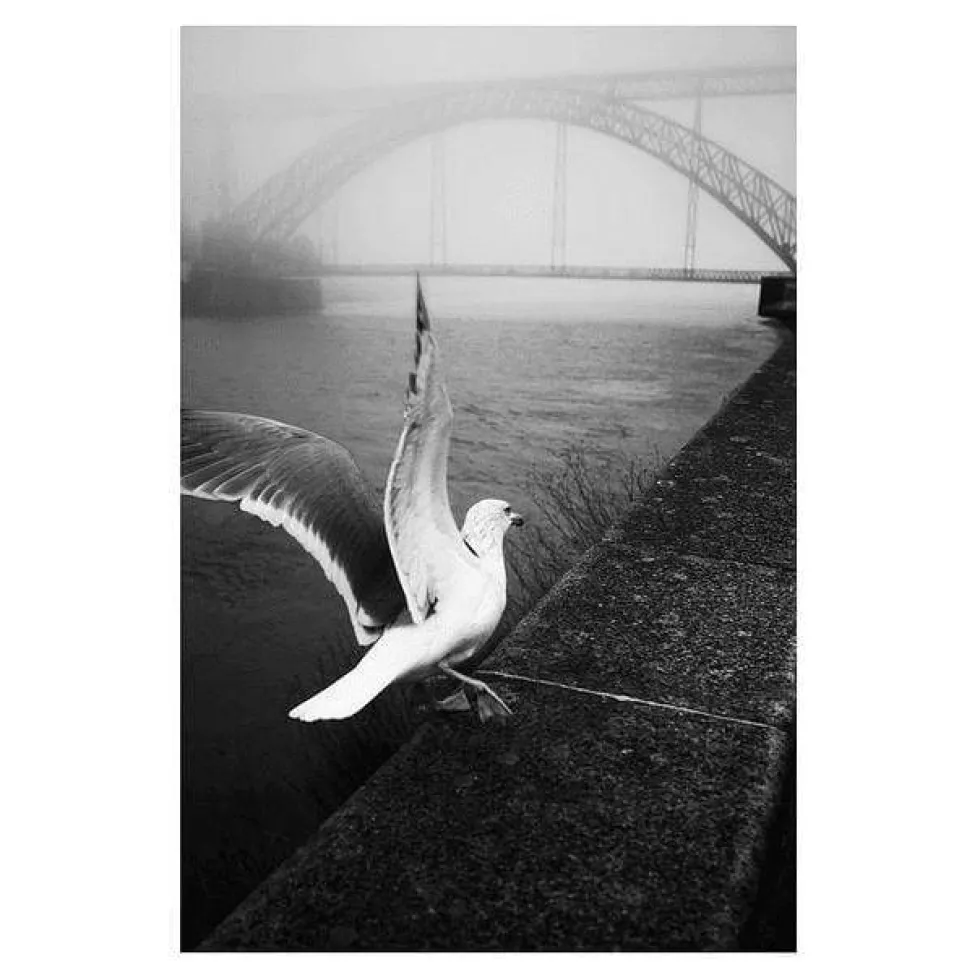 Photo d'art signée "Morning fog#4"