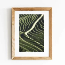 Photo d'art signée "Vinyards"