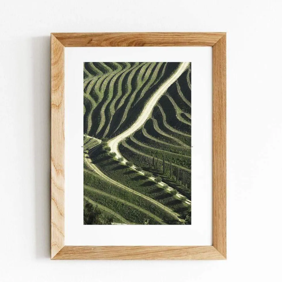 Photo d'art signée "Vinyards"