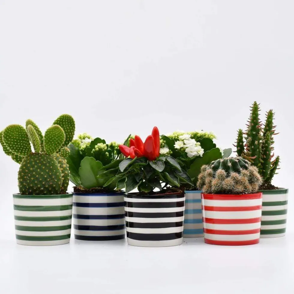 Pot en céramique "Costa nova" - Noir
