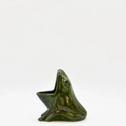 Pot à éponge en céramique en forme de grenouille