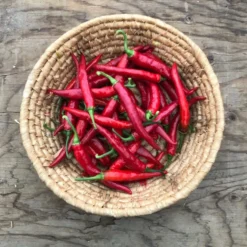 Sauce Piri Piri Portugais - Doux