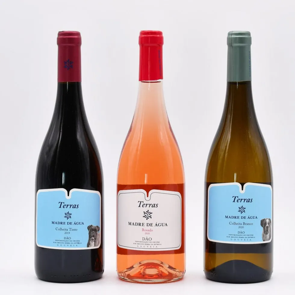 Terras Madre de água 2020 I Vin rosé du Dão - 75cl