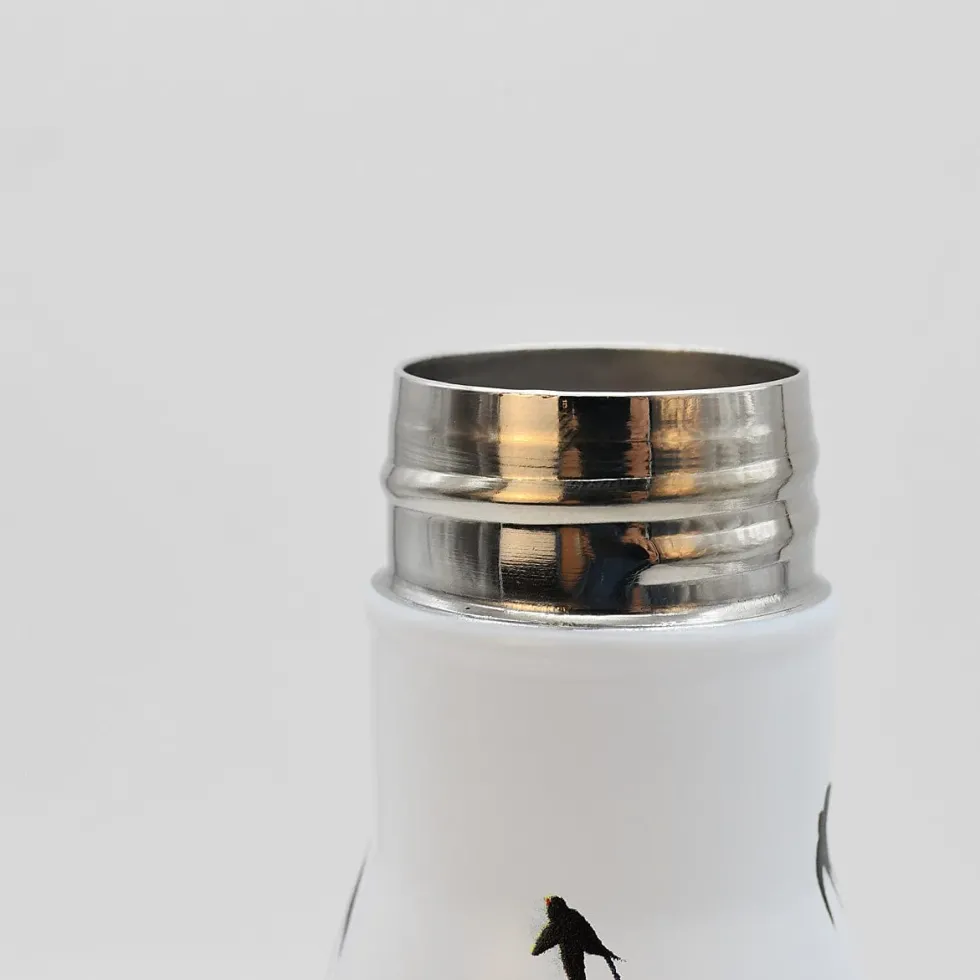 Thermos en inox "Andorinhas"